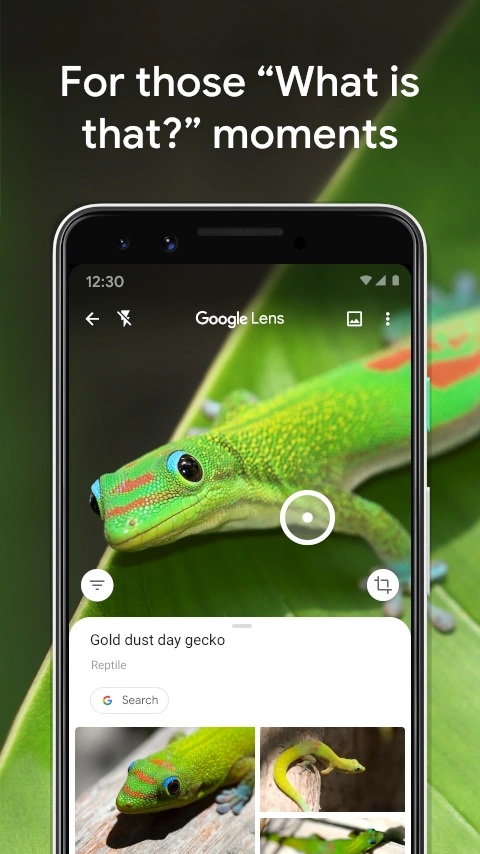 google-lens