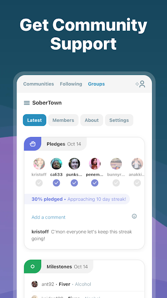 I Am Sober screenshot